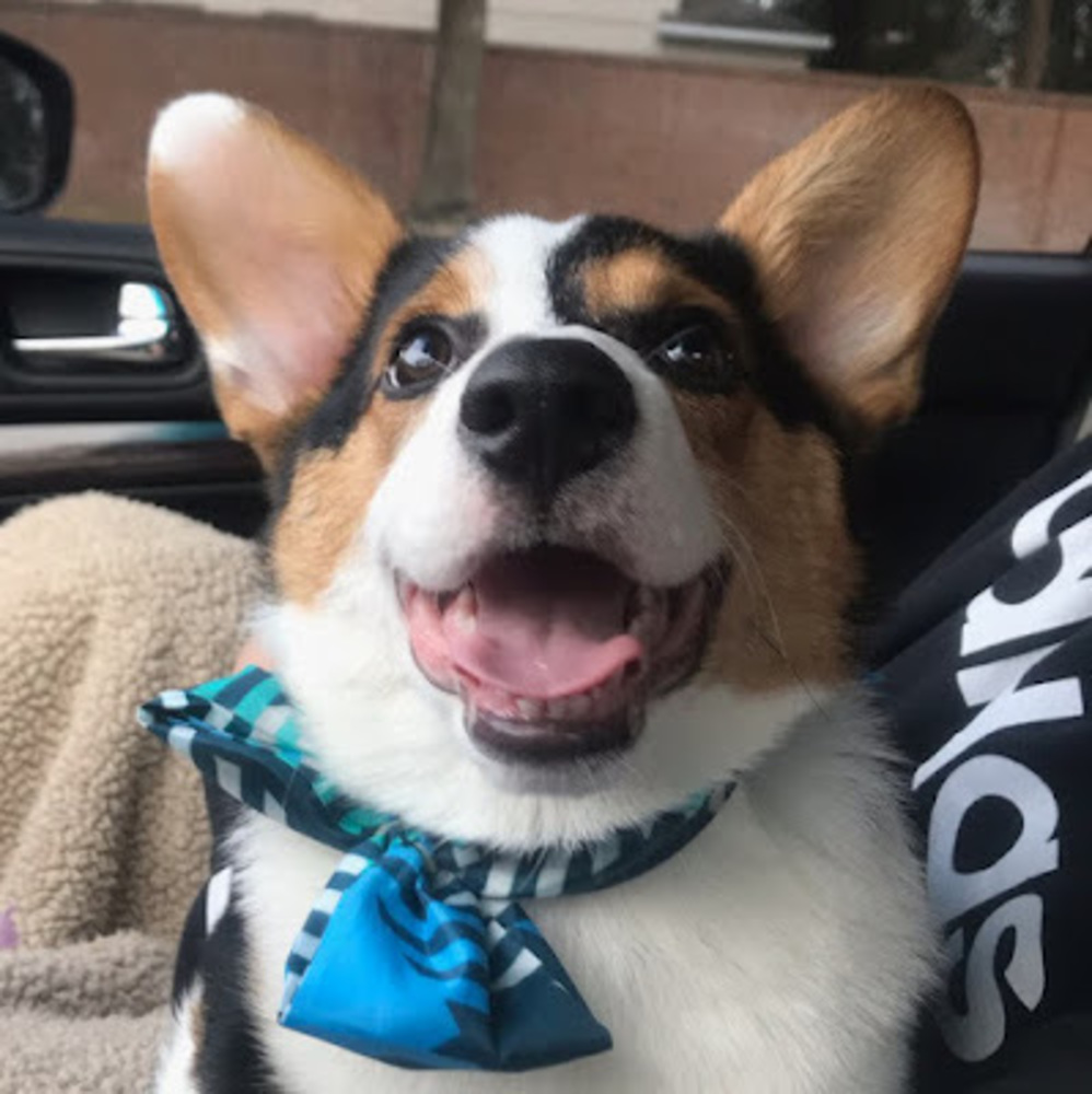 Meet your Posher, Jayden